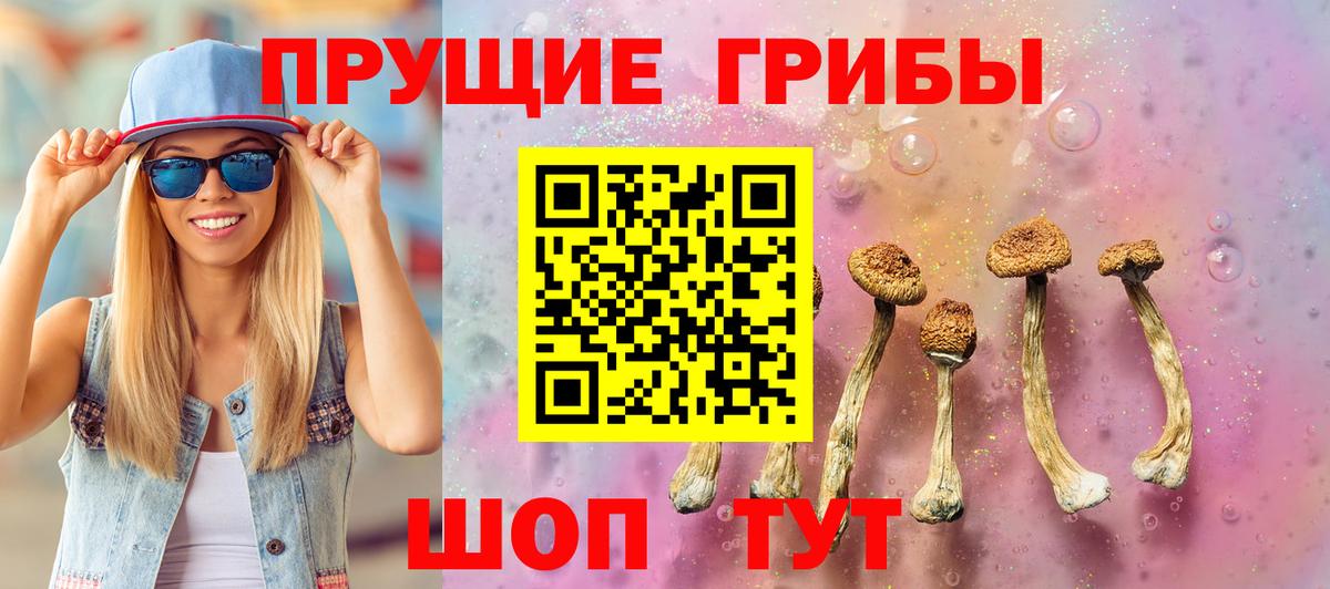 Тихвин  Псилоцибиновые грибы Psilocybe  Вход с VPN 